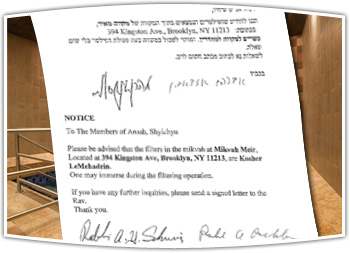 Mikvah Filter